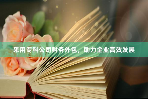 采用专科公司财务外包，助力企业高效发展