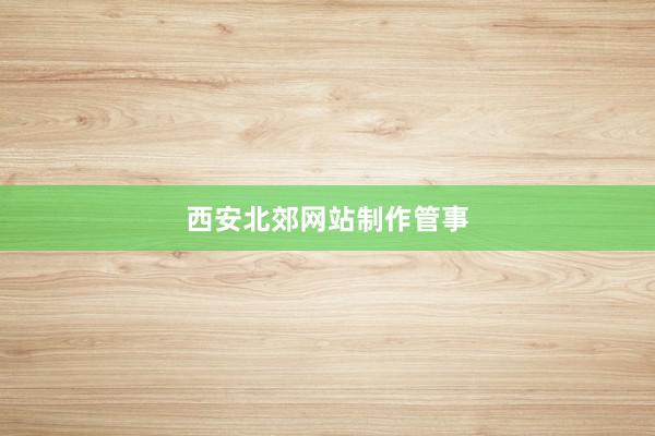 西安北郊网站制作管事