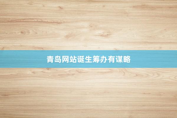 青岛网站诞生筹办有谋略